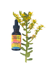 Skin Food Organics Acne Serum is antibacterial and anti-fungal. Helps reduce inflammation and irritation in the skin that can result in acne flare-ups. And can kill off bacteria which can get trapped in your pores.