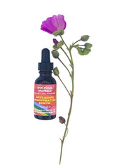 Skin Food Organics Regenerating Serum helps promote collagen production and hydration. Enhances skin elasticity, reduces the appearance of scarring, promotes the reversal of skin damage, and leaves lasting moisture. Reduces inflammation, protects the skin against sun damage, relieves the discomfort associated with psoriasis and eczema.