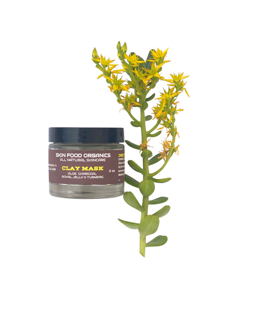 Skin Food Organics USA Clay Mask With Aloe, Charcoal & Turmeric   Helps to remove toxins from your pores and shrinks them. Reduces the appearance of scars, overproduction of oil and exfoliates dead skin cells. Allows skin to heal and reduces inflammation