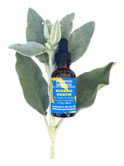 Skin Food Organics USA Eczema Serum helps to relieve symptoms of rash, Irritation, Itching & Redness Due to eczema, psoriasis, rosacea or inflamed skin
